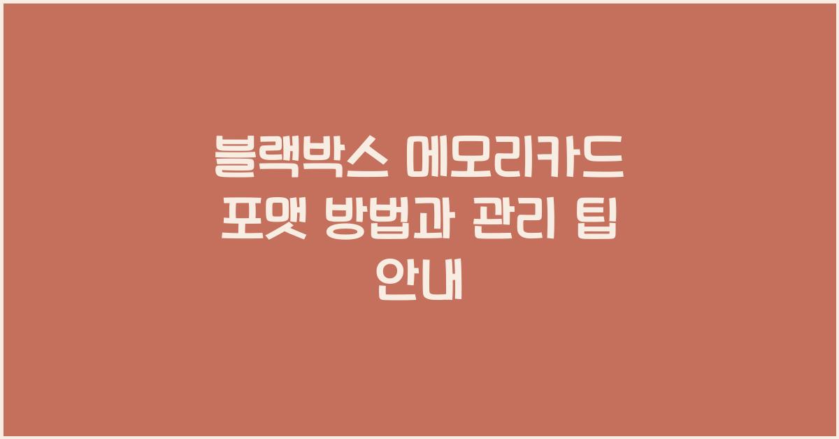 블랙박스 메모리카드 포맷 방법