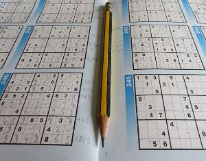 스도쿠 99 무료 게임 방법 규칙