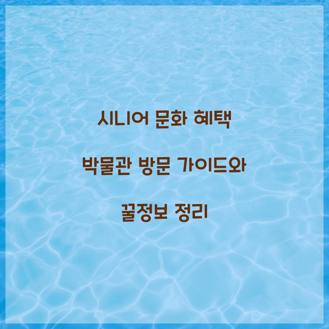 시니어 문화 혜택 박물관