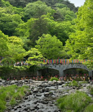 부처님오신날유명사찰