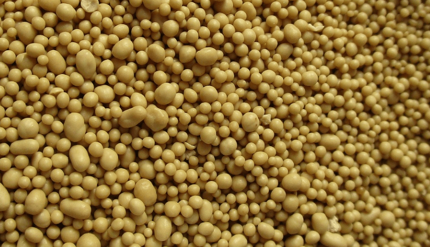 셀레늄이 많은 음식 맥주 효모를 가까이서 찍은 모습