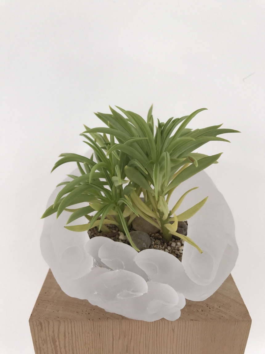 속초 바우지움 조각미술관 조각품 (2017년)