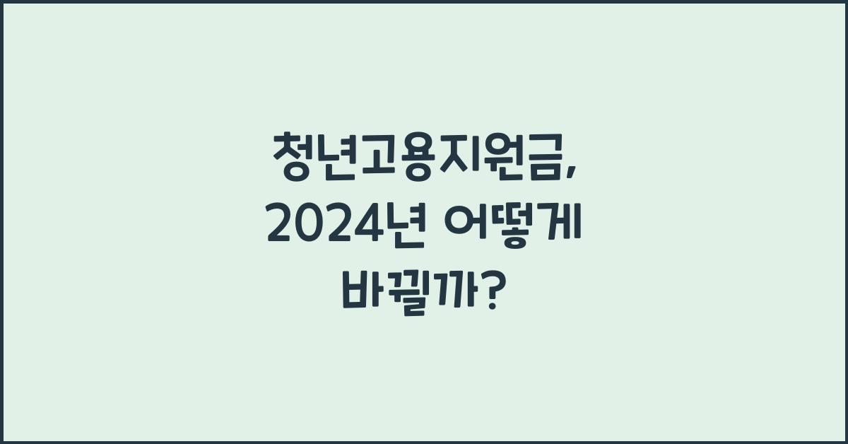 청년고용지원금