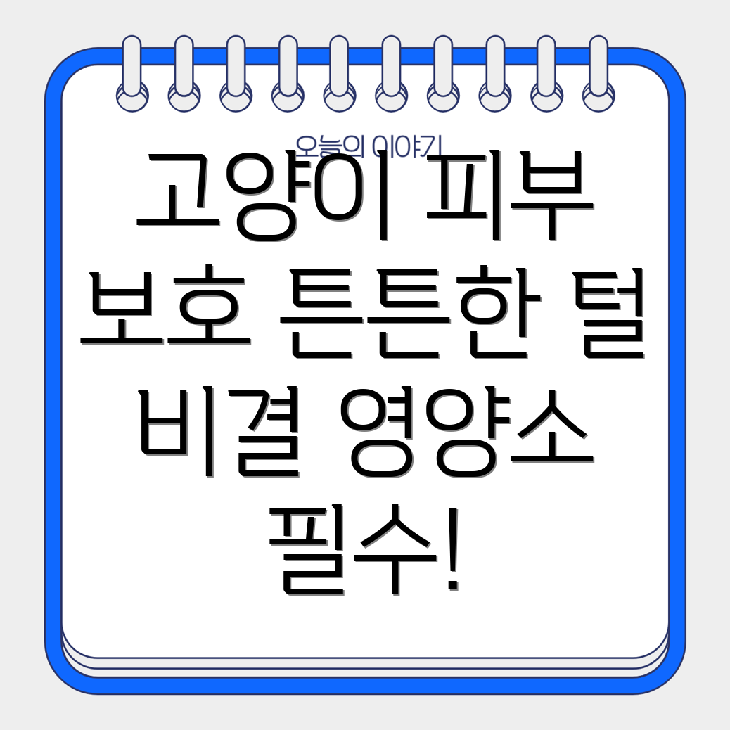 고양이 피부 건강