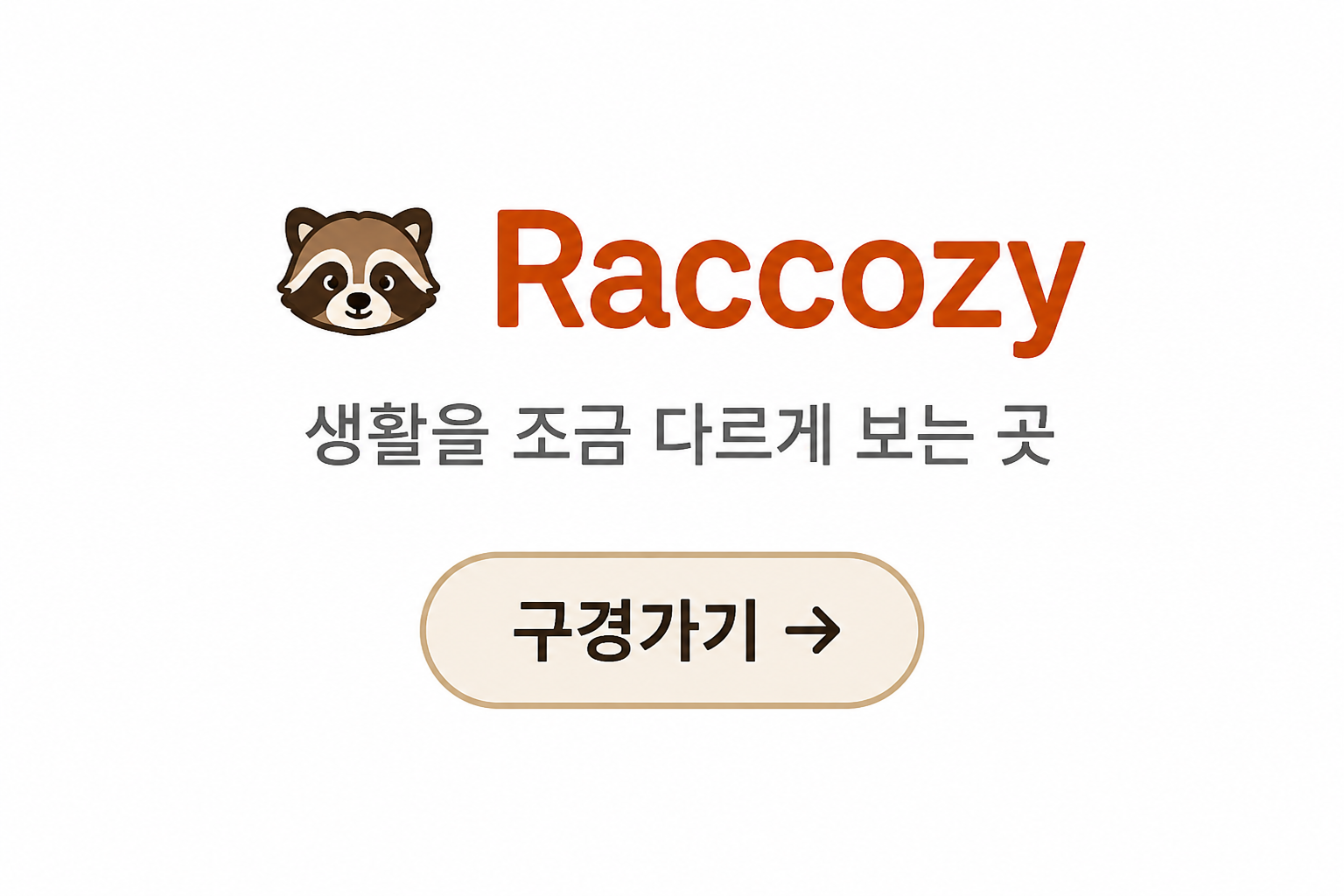 Raccozy - 생활을 조금 다르게 보는 곳
