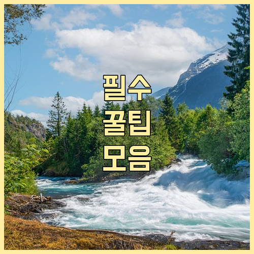 아픈 반려동물 약 처방 받는 방법과 