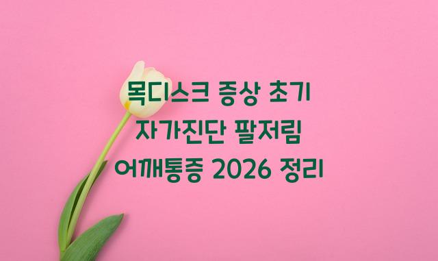 목디스크 증상