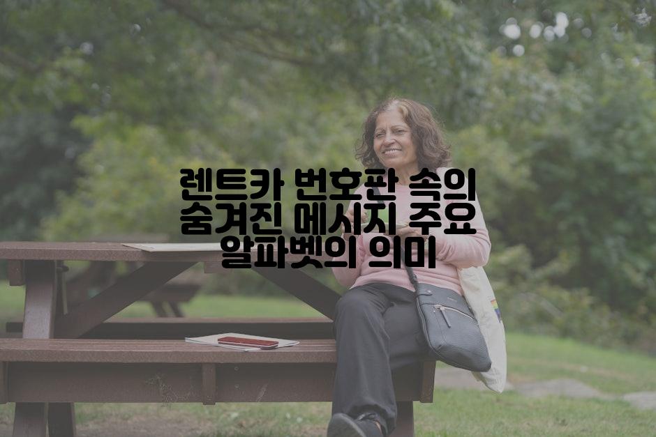 렌트카 번호판 속의 숨겨진 메시지 주요 알파벳의 의미