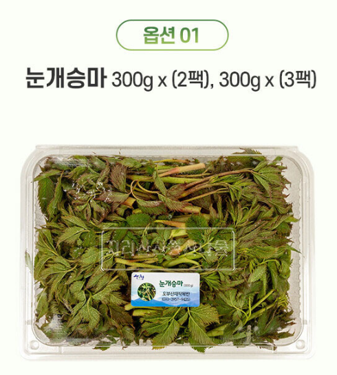 경남 산청 산나물 &lsquo;눈개승마&rsquo; 구매처