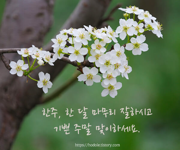 기쁜-주말-인사-이미지