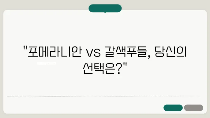 포메라니안은 잠주자문 개어 곽하게 게추행치 곽거당은 과부!