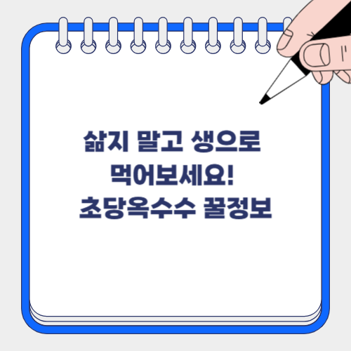 🌽 초당옥수수, 생으로 먹어도 괜찮을까? 안전성·영양 총정리!