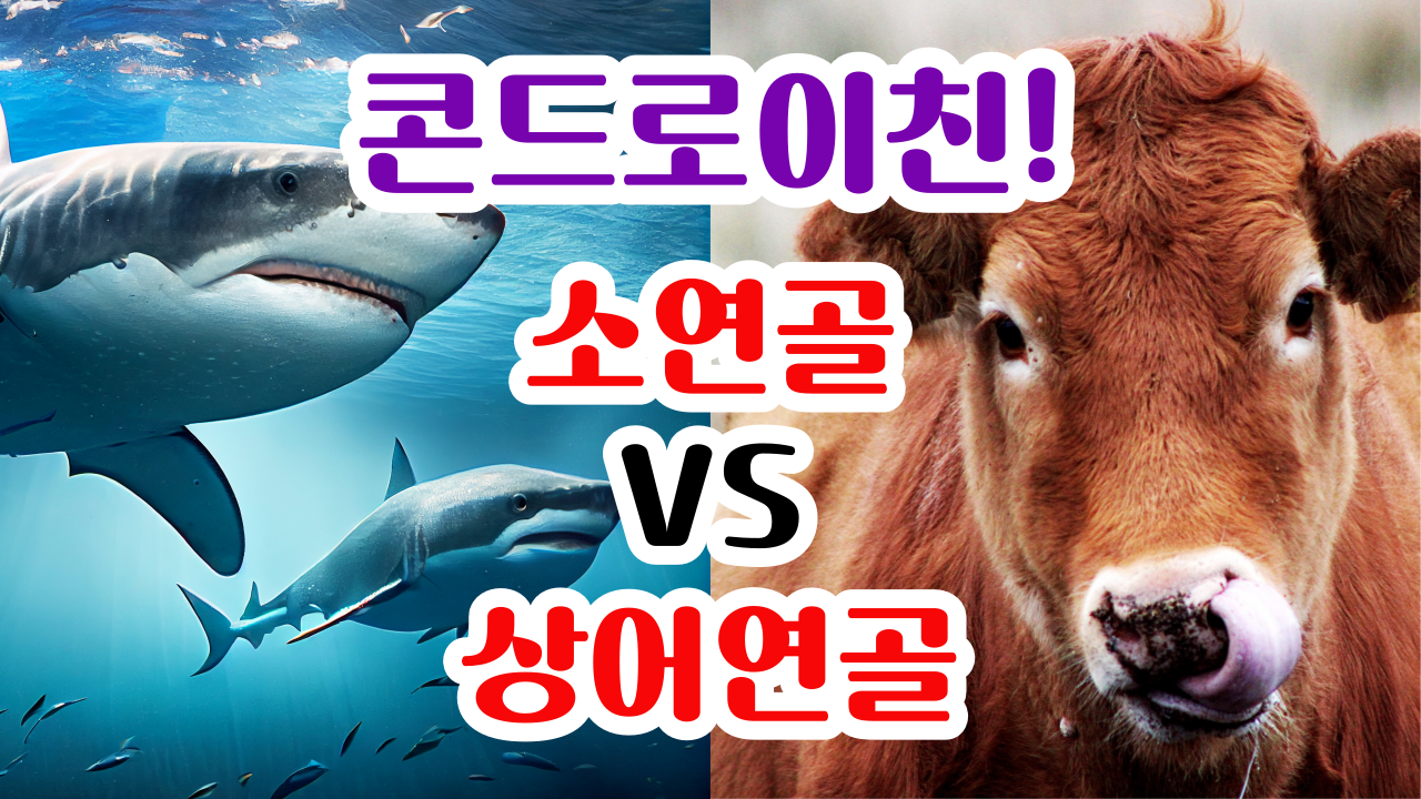 뉴트리큐콘드로이친프로테오글리칸,관절건강,연골건강,연골영양제,관절영양제,콘드로이친,프로테오글리칸,보스웰리아,초록입홍합분말,무릎관절,시니어건강,부모님선물,중장년건강,관절관리,하하공주한끼