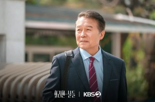 화려한 날들
