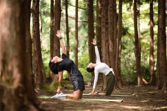 몸과 마음을 힐링하는 국내 웰니스 여행지