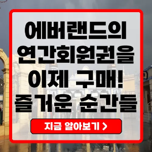 에버랜드 연간회원권