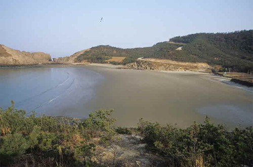 비금도 해변 모습