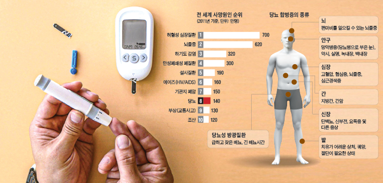 당뇨 초기 증상과 관리 방법 (+징후, 조기 발견 및 합병증 예방)