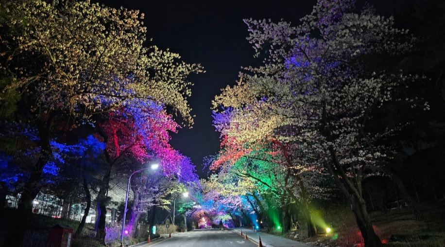 벚꽃 개화시기 및 절정시기, 서울 벚꽃 명소