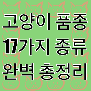 고양이-품종-17가지-종류-완벽-총정리