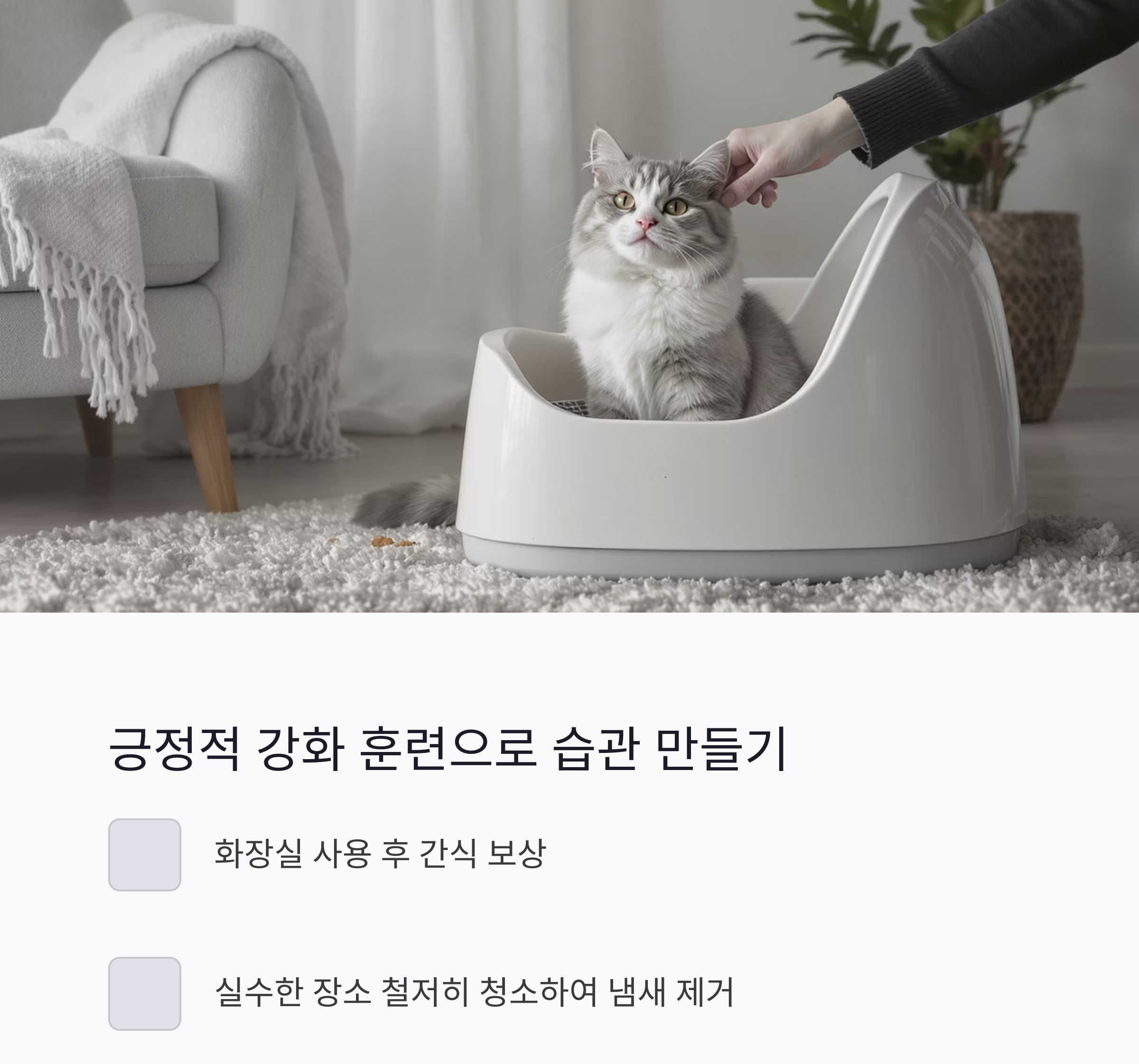 고양이의 화장실 문제, 원인부터 해결까지 한 번에 정리