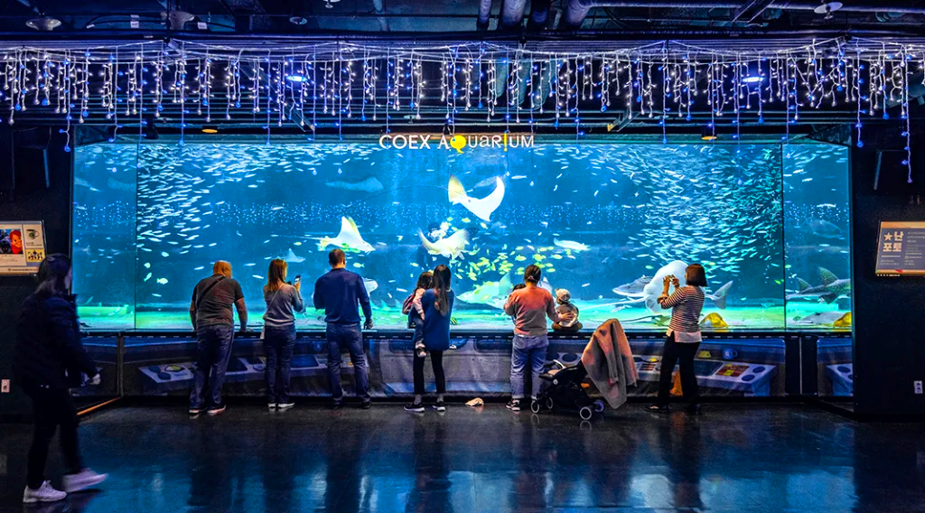 코엑스 아쿠아리움