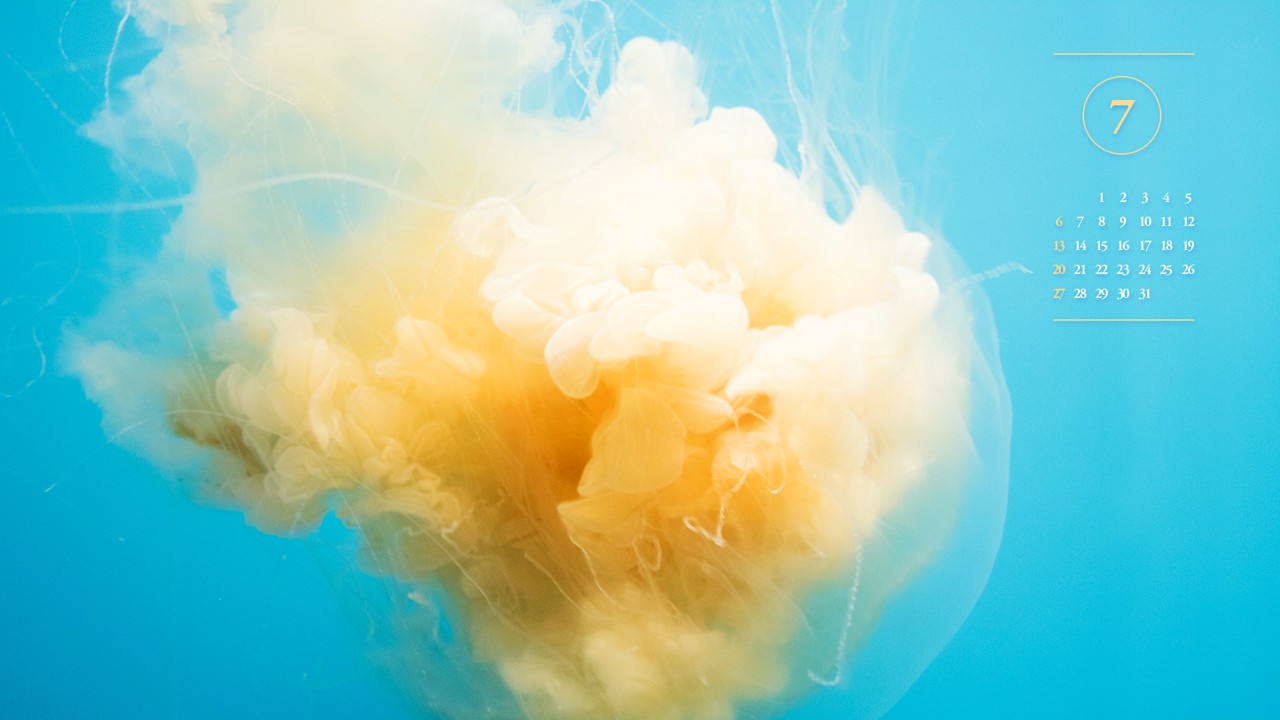 02 해파리 구름 A - 2025년7월 노트북배경화면