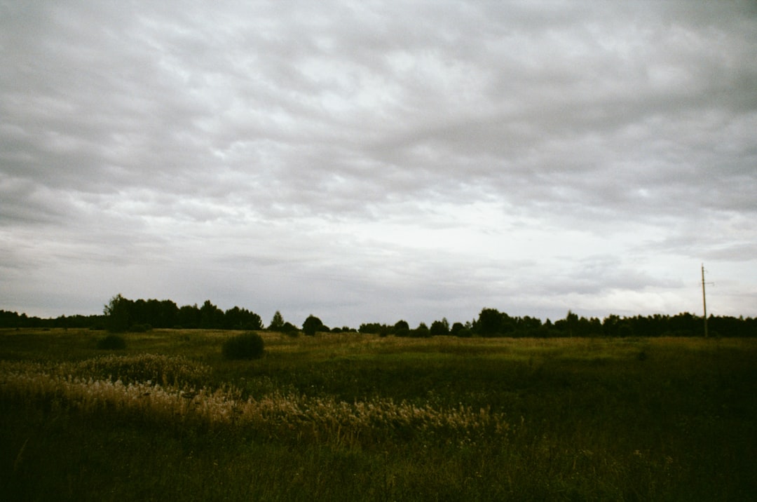 Mapleland