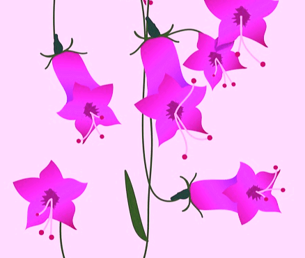 수많은 보라색꽃들이 가득하다. 긴 원형으로 된 꽃들이다.