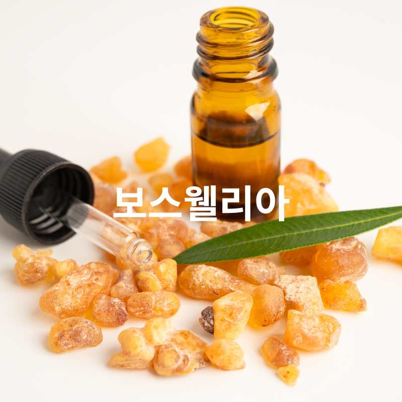 무릎관절에 좋은 영양제 TOP5