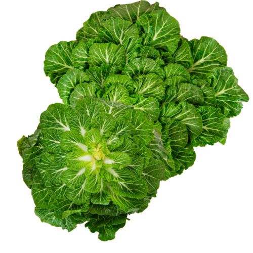 봄동된장무침 레시피