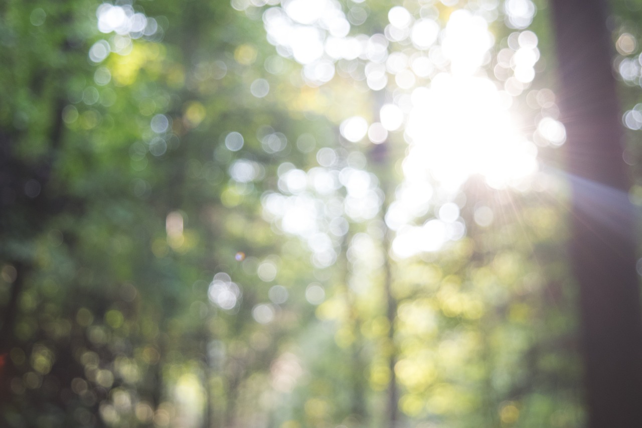 비교에서 자유로워지는 마음의 기술