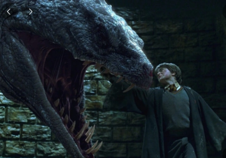 해리가-바실리스크와-맞서는-장면