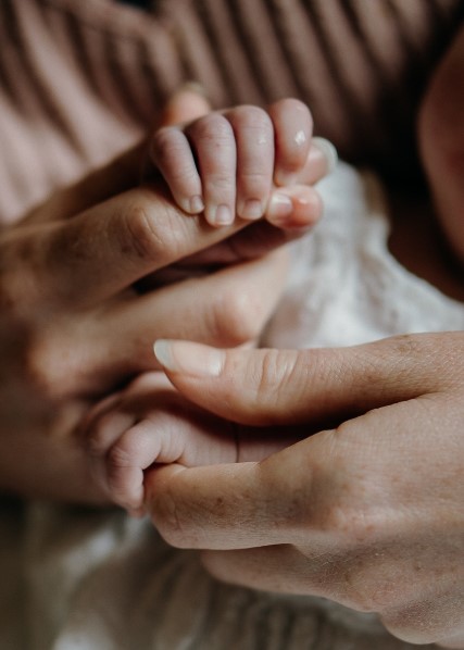 저출산 시대, 충북은 왜 출산율이 올랐을까? 성공 비결 분석