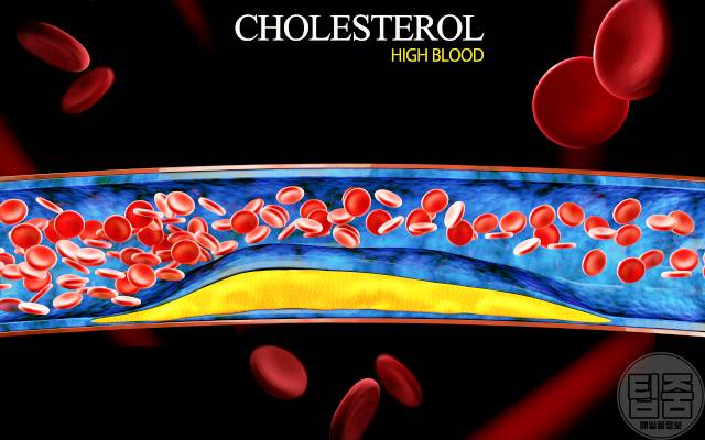 호두 효능 콜레스테롤,호두 하루 섭취량
