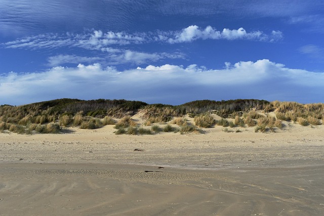 호주 빙가성 해변 모래사장