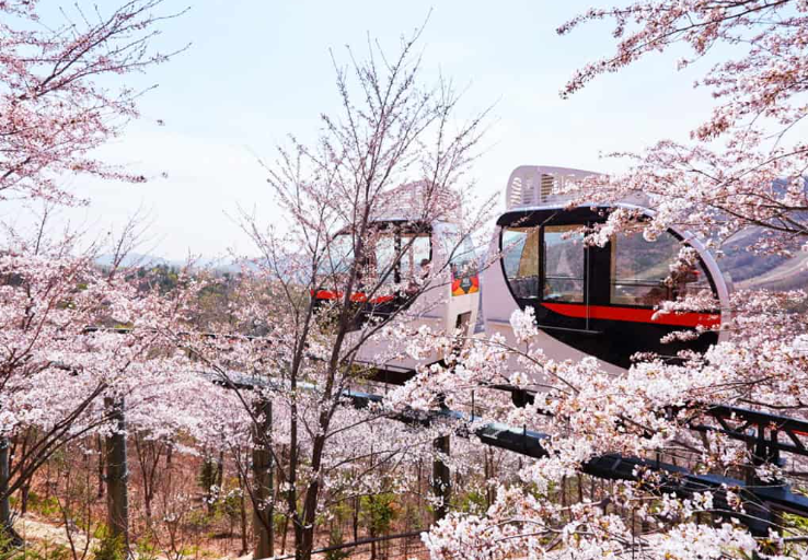 화담숲 모노레일