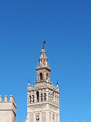 대성당 종탑 사진