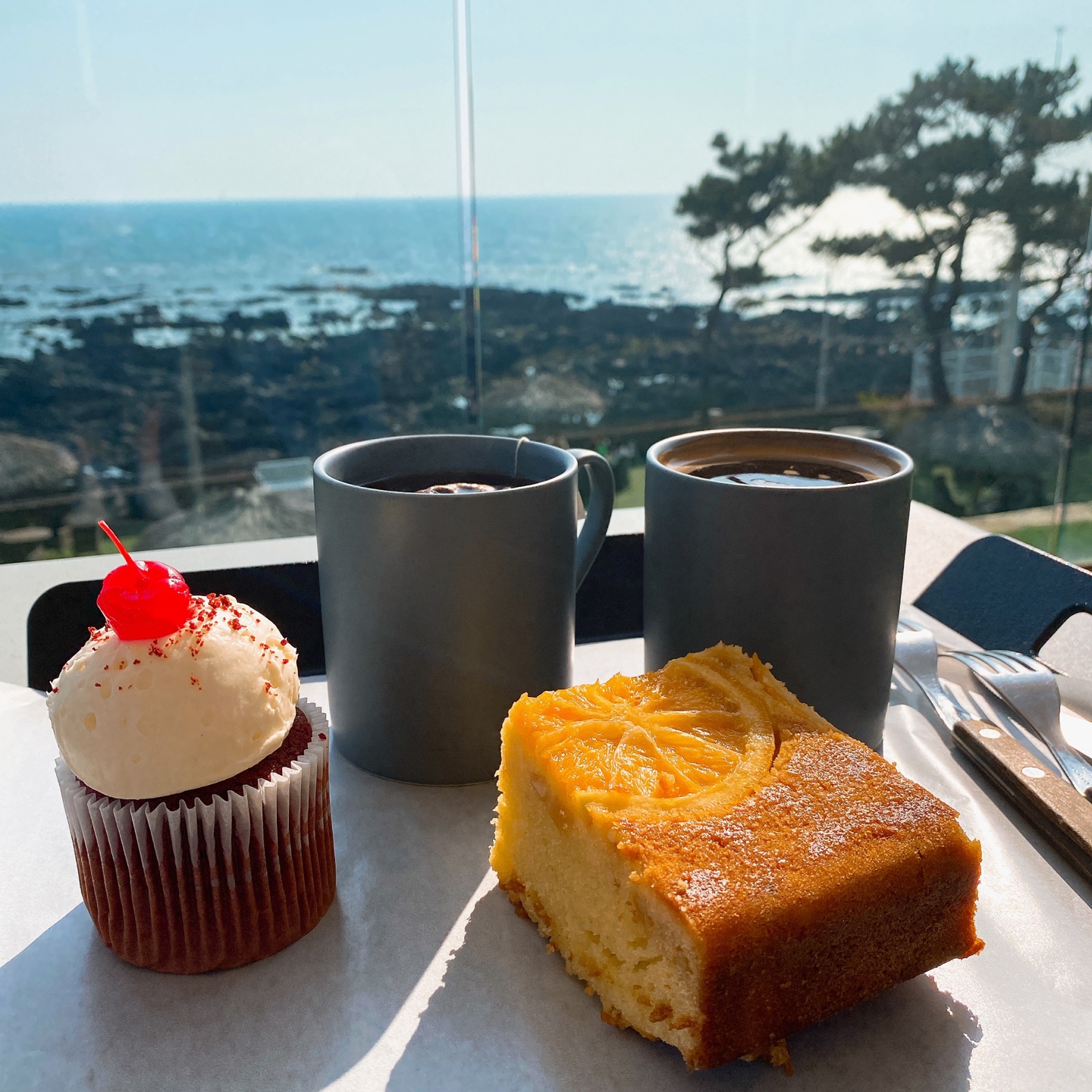 제주 안덕 유채꽃 포토존 오션뷰 카페 휴일로