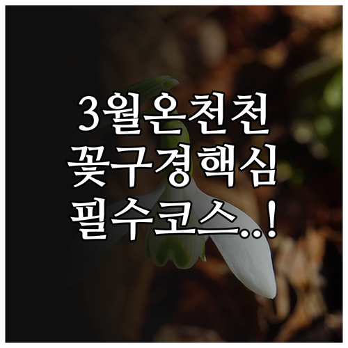동래읍성 온천천 시민공원 3월 방문 ..