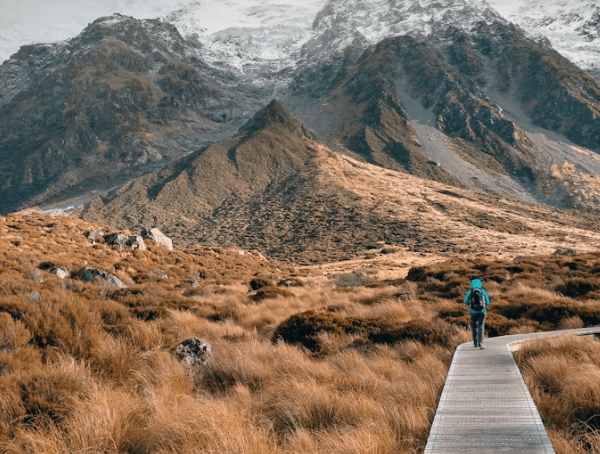 뉴질랜드 워킹홀리데이 완벽 가이드: 비자부터 정착까지