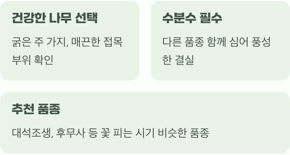 모든 시작은 튼튼한 모종 고르기