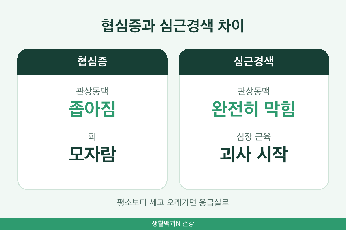 협심증 심근경색 차이 관상동맥 좁아짐 막힘 동맥경화