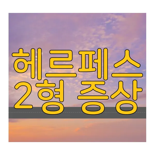 헤르페스-2형-증상