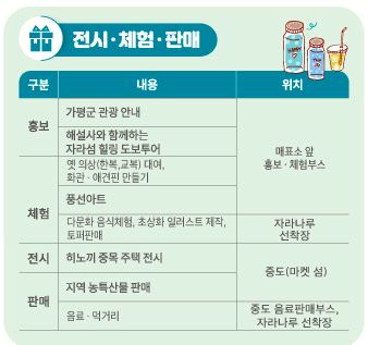 자라섬 꽃 페스타