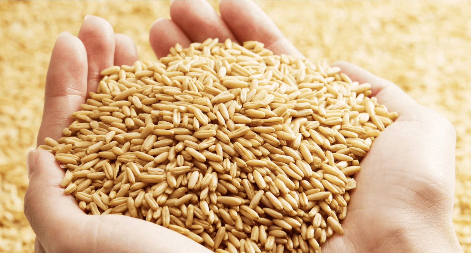 유방암에 좋은 음식