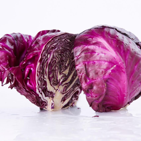 역류성 식도염 자연치료 방법 사진 10