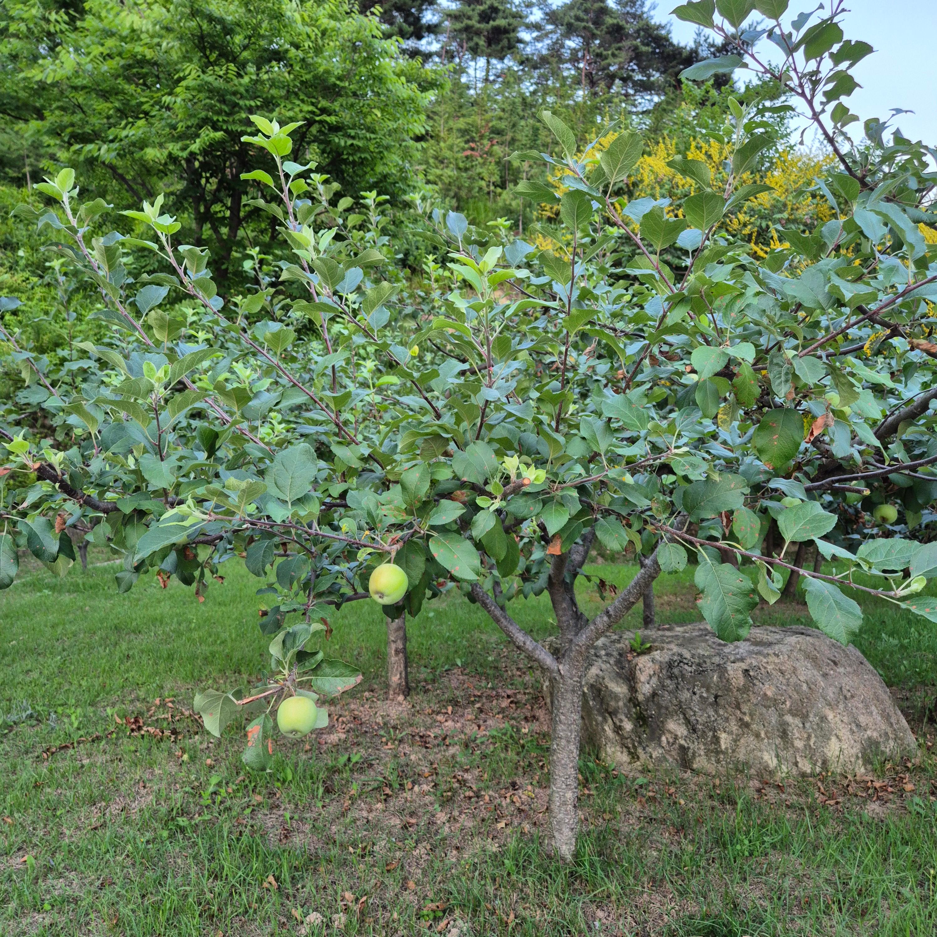 제천경찰수련원&amp;#44; 제천 경찰수련원 어메니티&amp;#44; 제천 경찰수련원 샴푸&amp;#44; 제천 경찰수련원 식당&amp;#44; 봄의향기&amp;#44; 블루포트&amp;#44; 제천경찰수련원 콘도형&amp;#44; 제천경찰수련원 물놀이