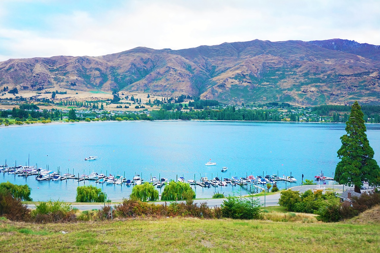 뉴질랜드 낚시 관련 사진