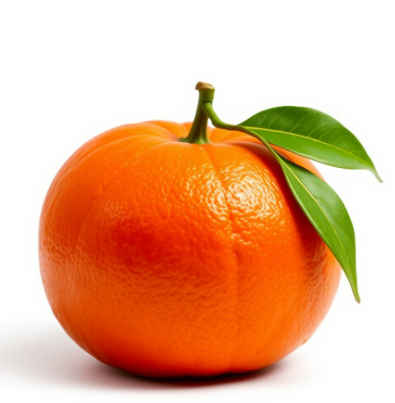 모로오렌지그림